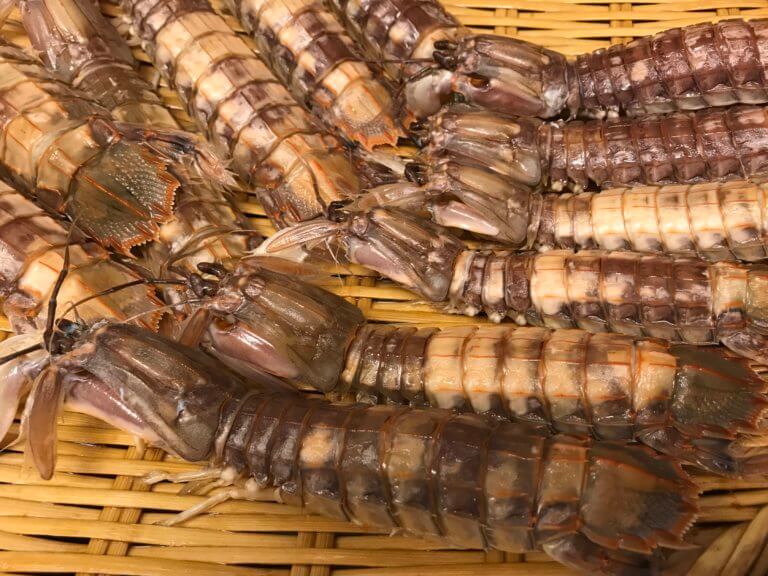 シャコの茹で方 殻の剥き方