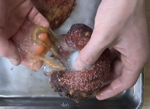 銀座渡利 ナマコの捌き方 下処理 仕込み 銀座渡利 ナマコの捌き方 下処理 仕込み