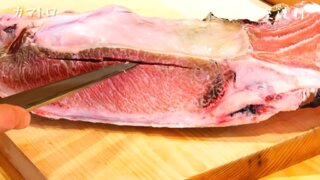 【マグロ希少部位】カマトロの捌き方・刺身での食べ方