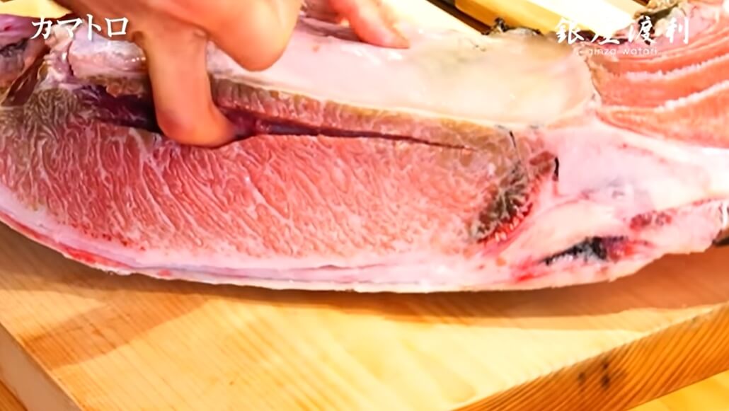 【マグロ希少部位】カマトロの捌き方・刺身での食べ方
