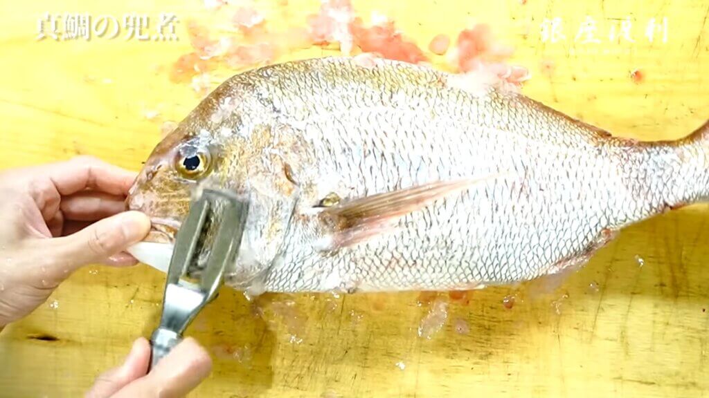 本格 誰でも家庭で作れる兜煮の仕込み方 作り方 真鯛