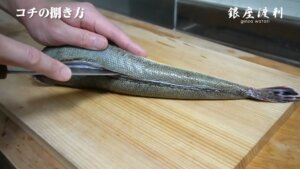 コチの捌き方!刺身(薄造り)の作り方や【活け・活け締め・野締め・浜締め】の違いも解説
