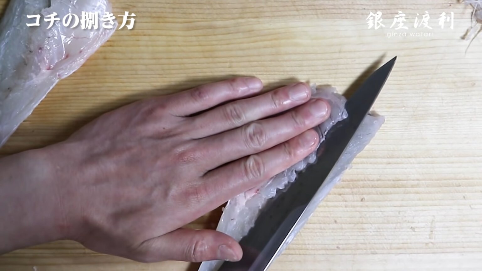 コチの捌き方!刺身(薄造り)の作り方や【活け・活け締め・野締め・浜締め】の違いも解説