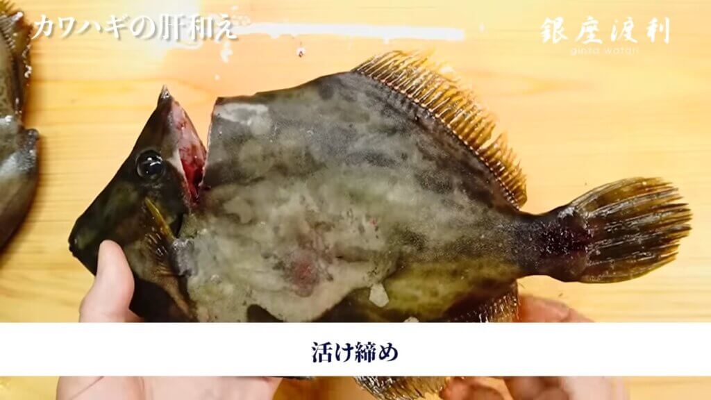 濃厚 カワハギの肝和えの作り方 プロの下処理 捌き方 濃厚 カワハギの肝和えの作り方 プロの下処理 捌き方