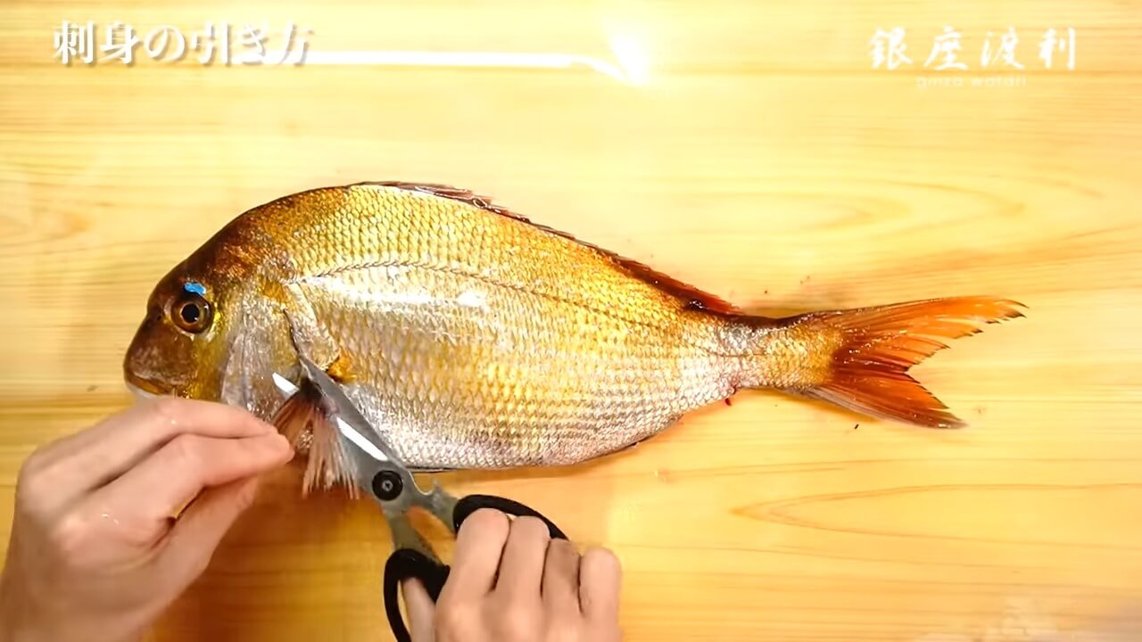 真鯛のさばき方!初心者にもわかりやすい部位別の刺身の切り方